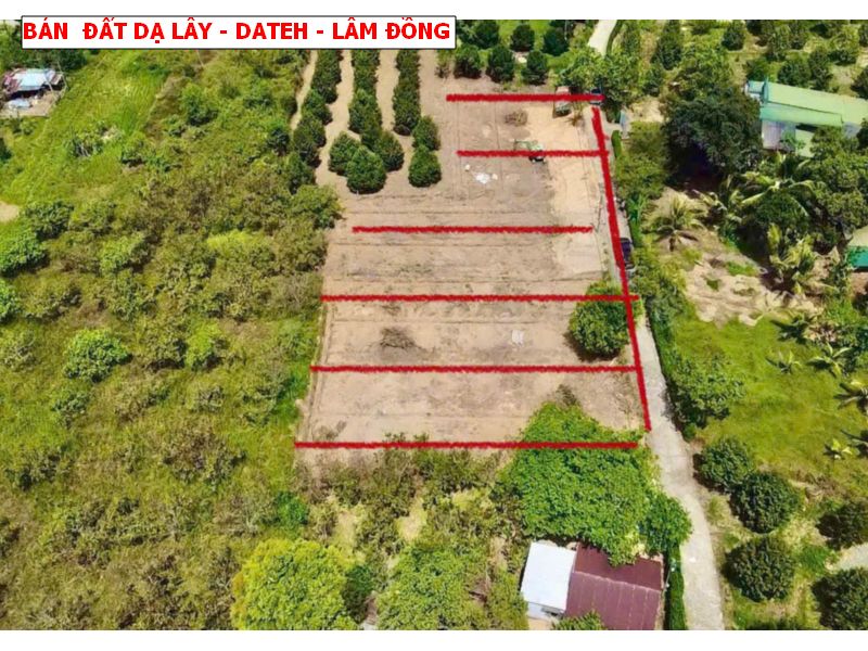 Bán đất Đạ Lây, Đạ Hoai, Lâm Đồng giá chỉ 279tr/ lô