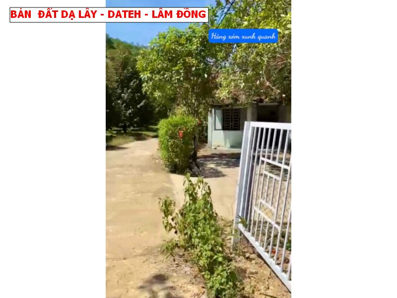 Bán đất Đạ Lây, Đạ Hoai, Lâm Đồng giá chỉ 279tr/ lô