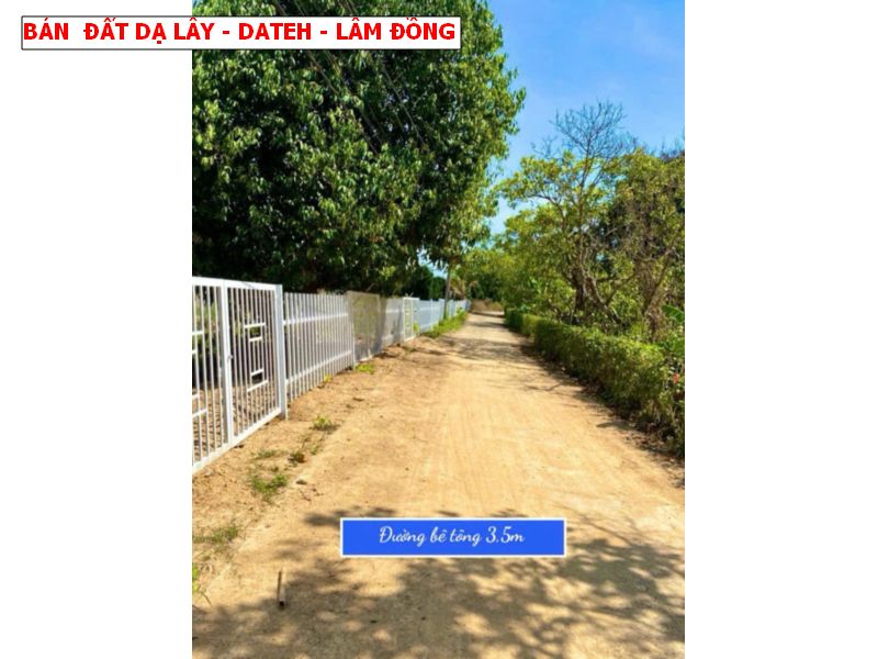 Bán đất Đạ Lây, Đạ Hoai, Lâm Đồng giá chỉ 279tr/ lô