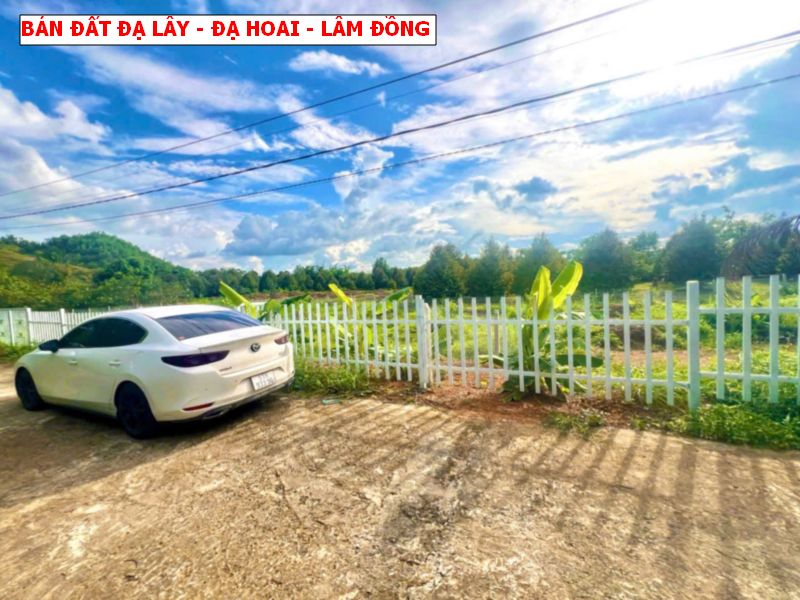 Bán đất Đạ Lây, Đạ Hoai, Lâm Đồng giá chỉ 279tr/ lô sổ sẵn