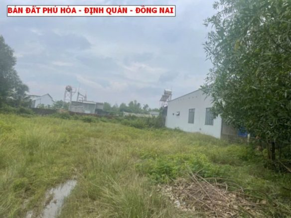Bán đất Phú Hòa – Định Quán – Đồng Nai, 6 x 45m full thổ, gần chợ