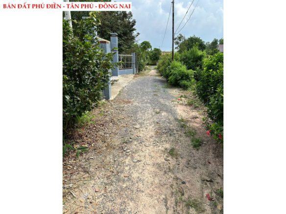Bán đất Phú Điền – Tân Phú – Đồng Nai giá tốt