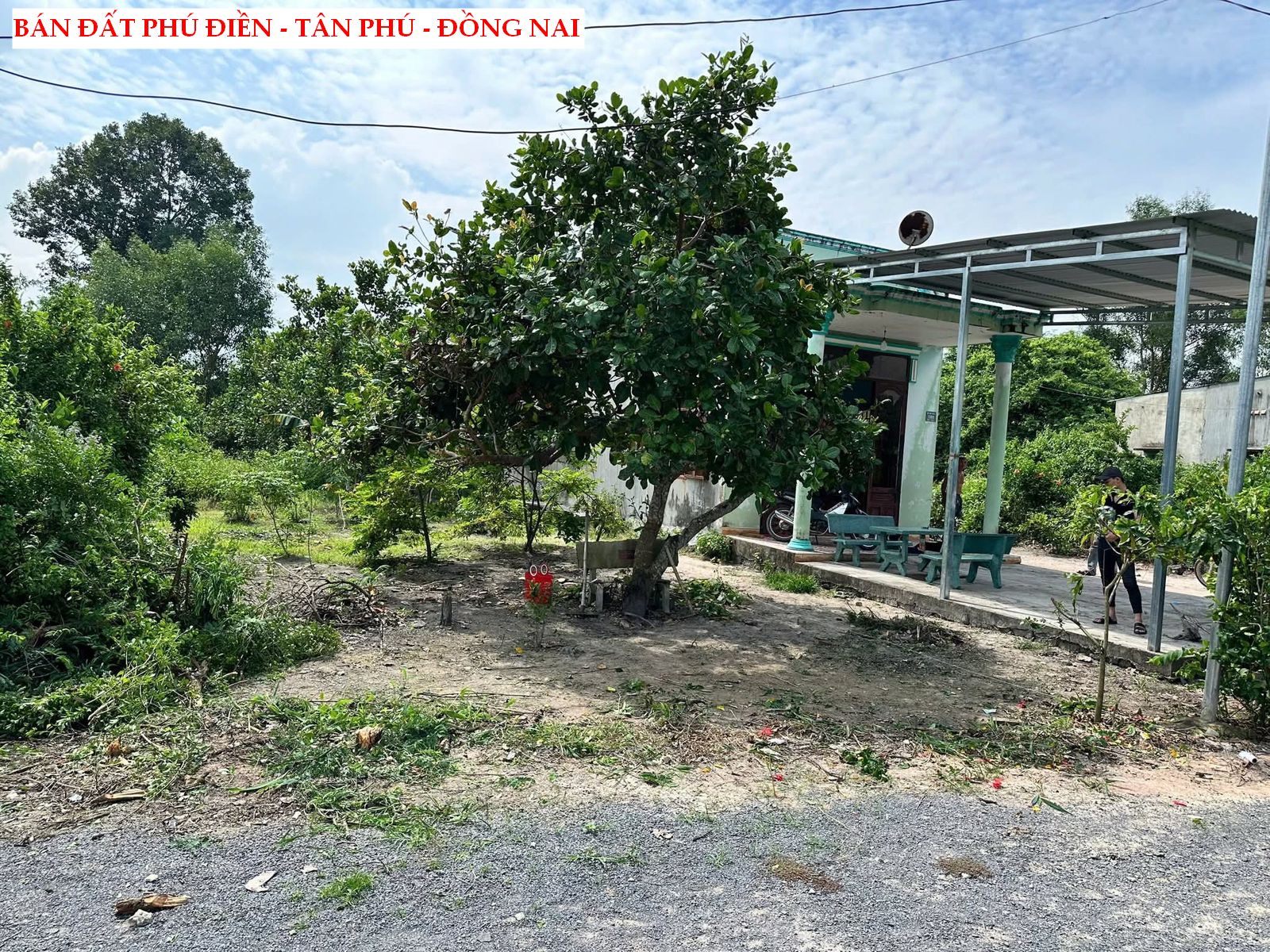 Bán đất Phú Điền – Tân Phú – Đồng Nai giá tốt