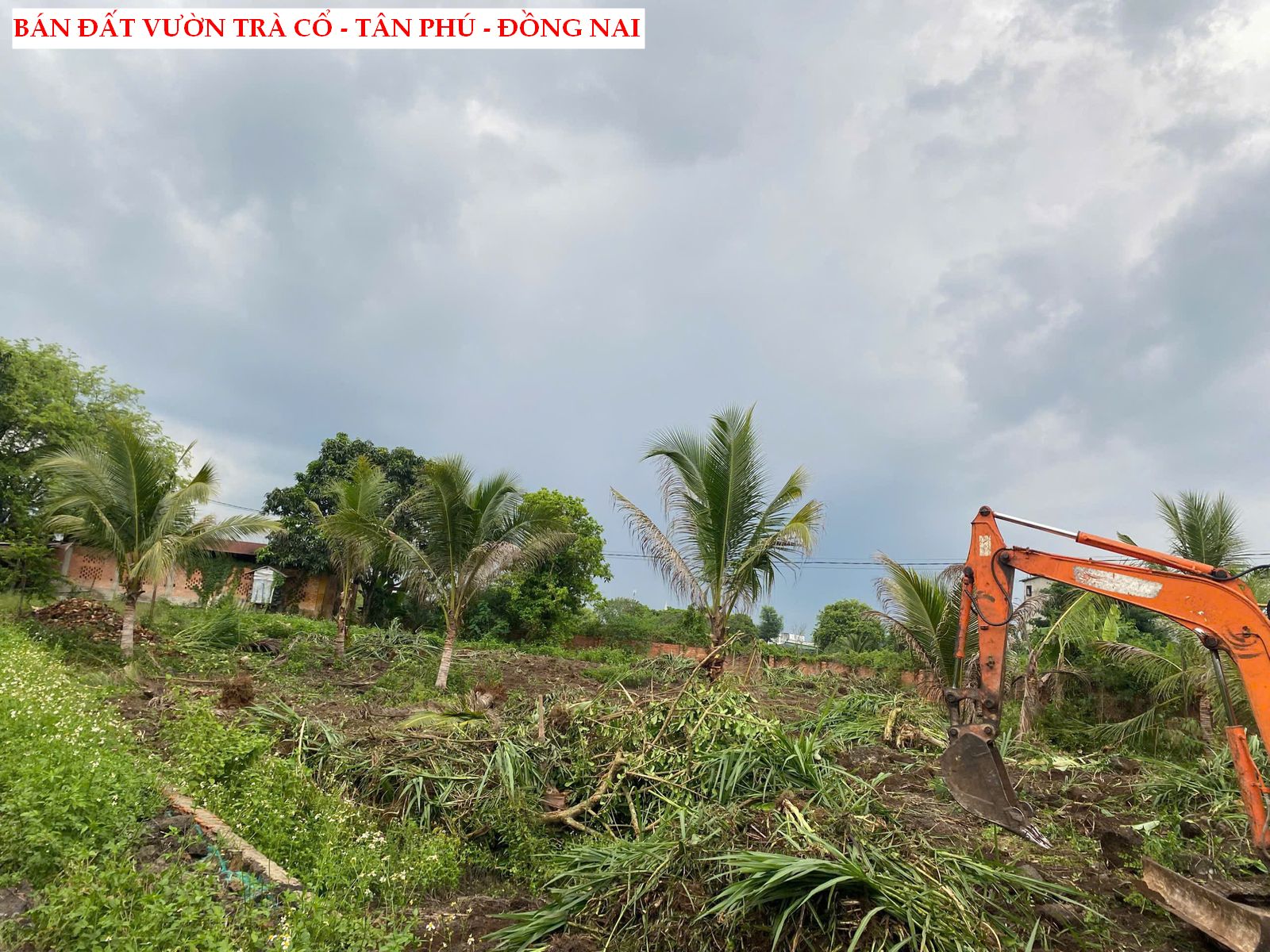 Bán đất vườn tại Trà Cổ – Tân Phú – Đồng Nai có sẵn thổ cư giá rẻ