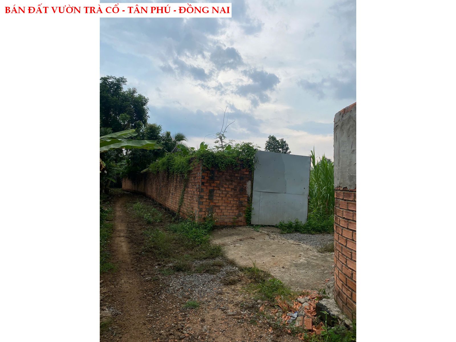 Bán đất vườn tại Trà Cổ – Tân Phú – Đồng Nai có sẵn thổ cư giá rẻ