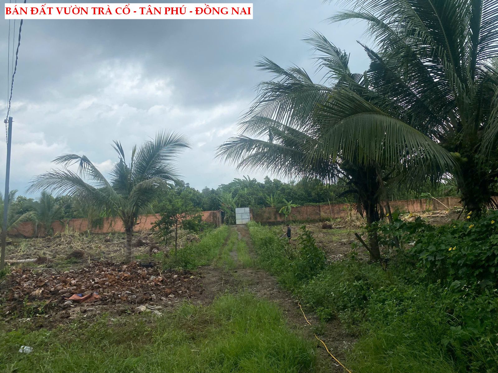 Bán đất vườn tại Trà Cổ – Tân Phú – Đồng Nai có sẵn thổ cư giá rẻ
