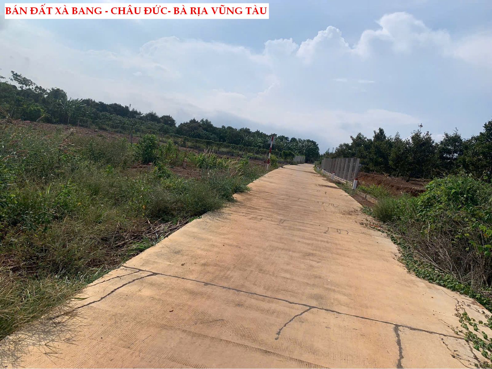z6685814547926_d7e2439e93e10a0da5971b1f109543f2 Bán đất Xà Bang – Châu Đức- Bà Rịa giá siêu tốt. chỉ 529tr/ 209m2