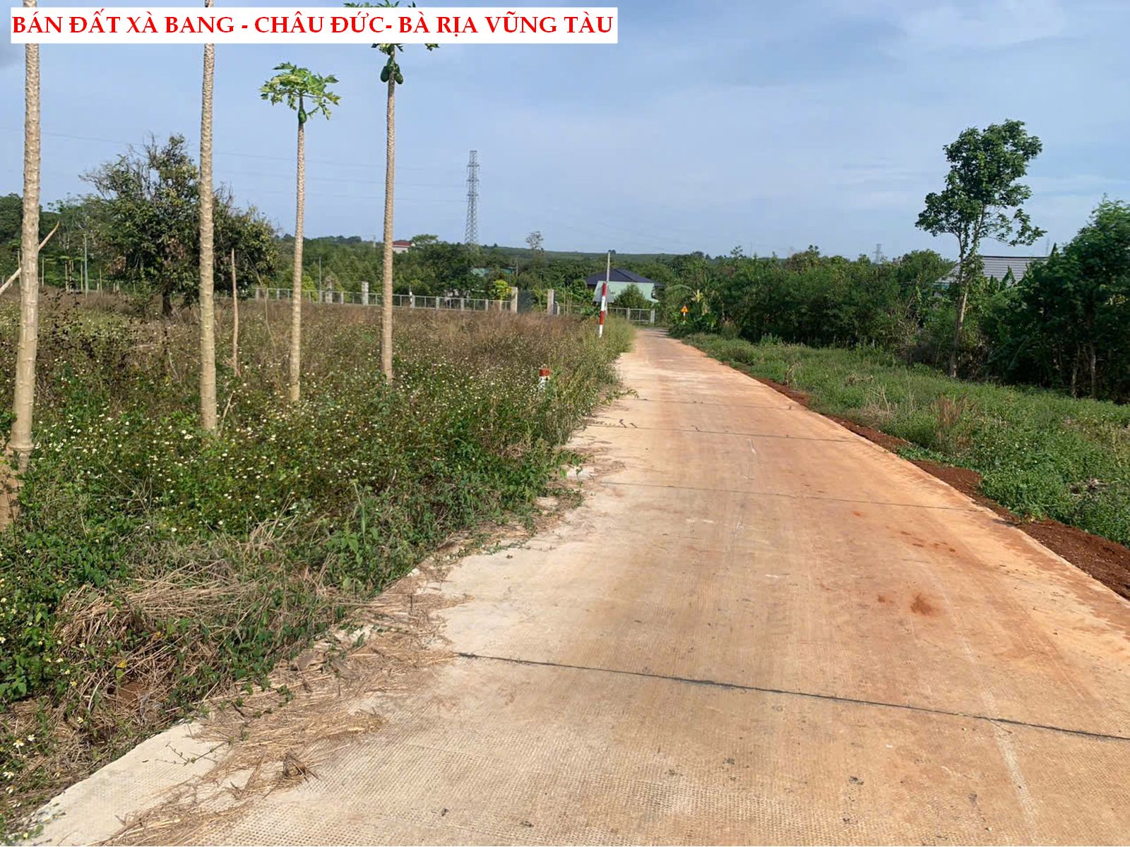 z6685814621943_186e02ce8e190d25bb4bb7cd15240fba Bán đất Xà Bang – Châu Đức- Bà Rịa giá siêu tốt. chỉ 529tr/ 209m2