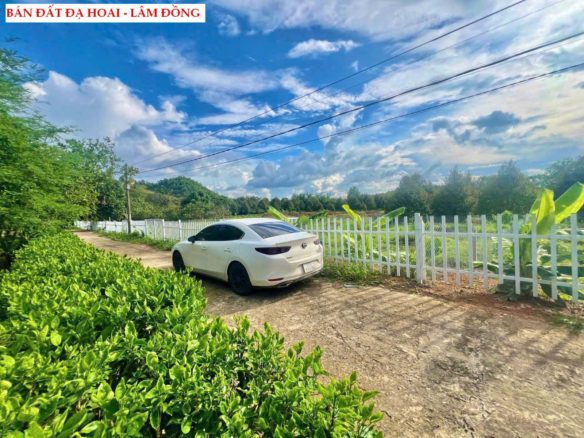 Bán đất Đạ Hoai – Lâm Đồng, gần UBND giá chỉ 279tr/ lô
