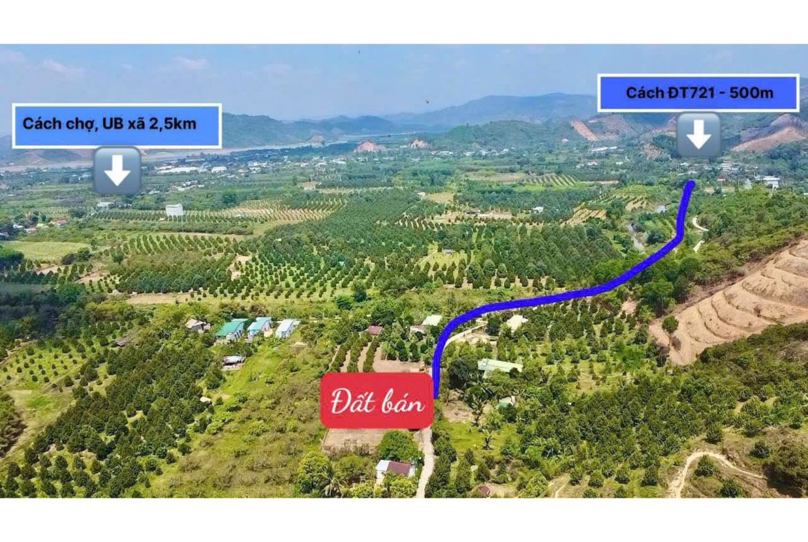 Bán đất Đạ Hoai – Lâm Đồng, gần UBND giá chỉ 279tr/ lô