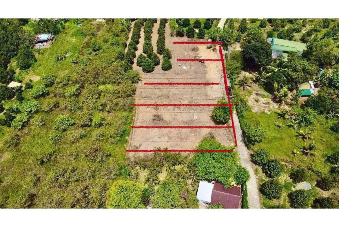 Bán đất Đạ Hoai – Lâm Đồng, gần UBND giá chỉ 279tr/ lô