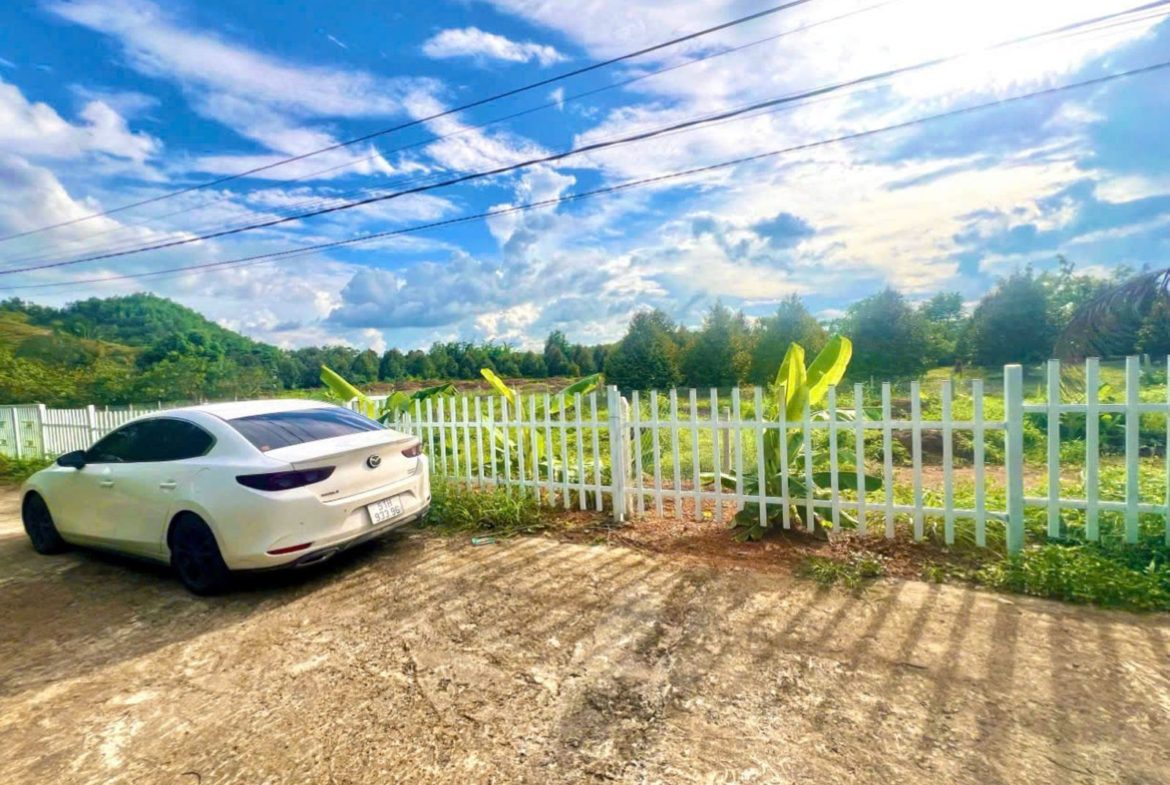 Bán đất Đạ Hoai – Lâm Đồng, gần UBND giá chỉ 279tr/ lô