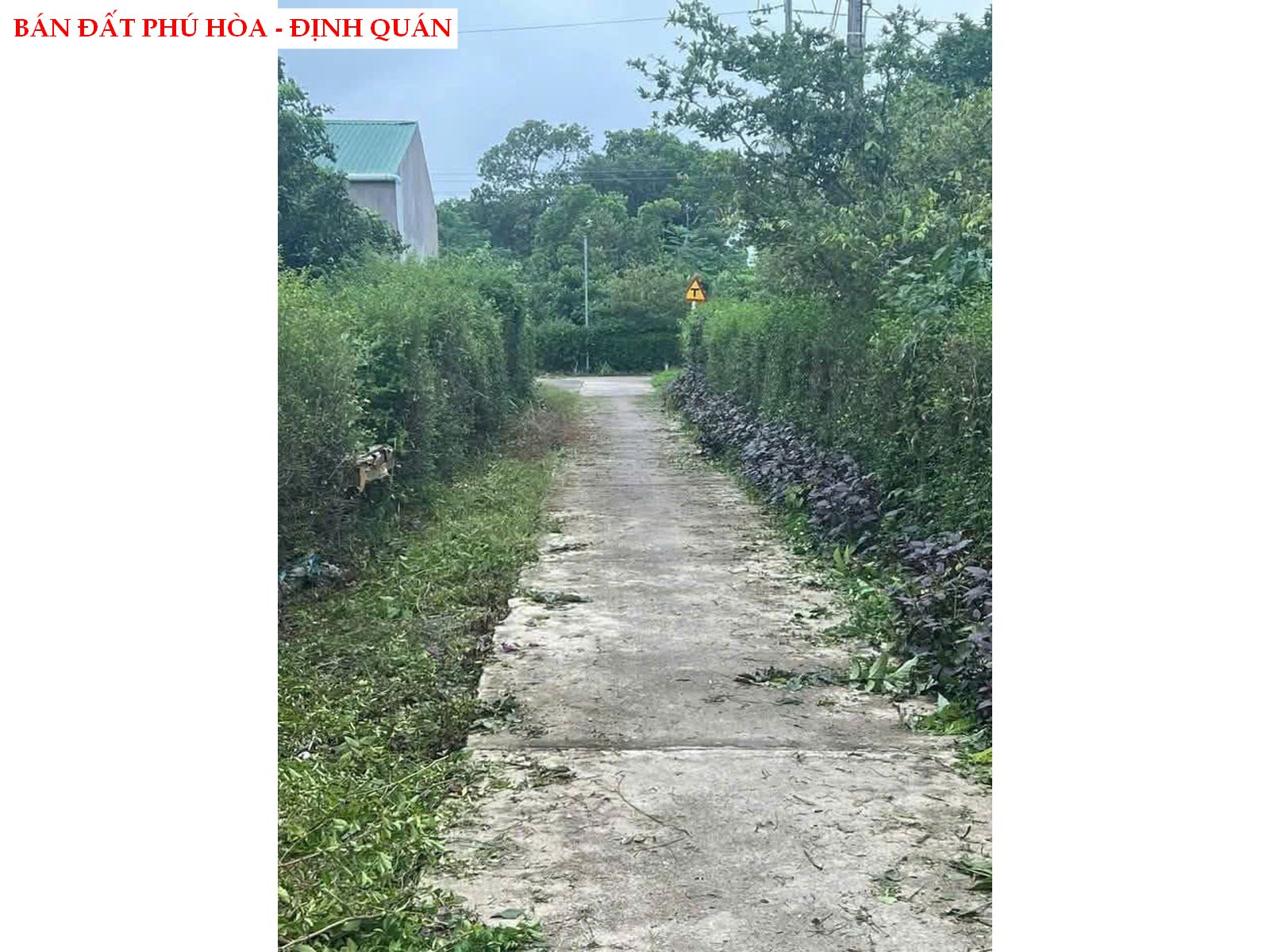 Bán đất Phú Hòa – Định Quán 5 x33 full thổ cư giá chỉ 550tr