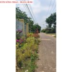 Bán đất vườn Sông Thao - Trảng Bom, full hồng có thổ cư