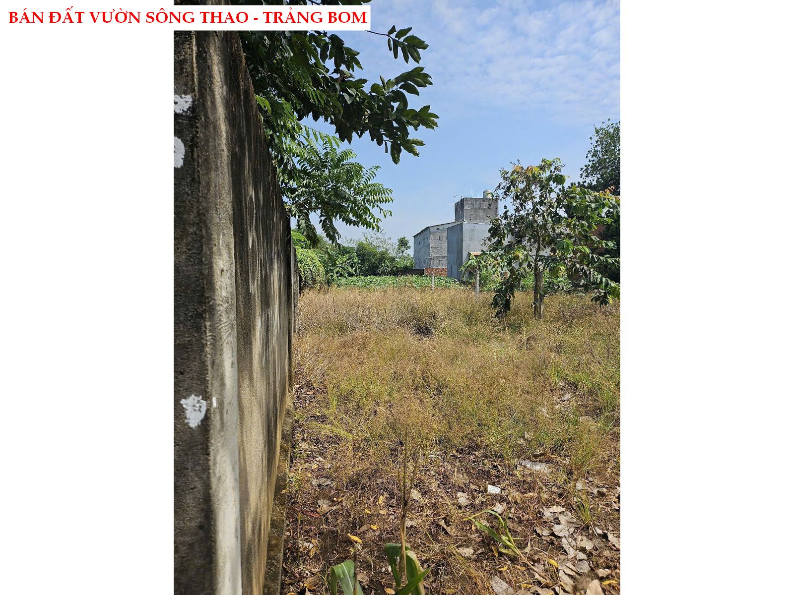 Bán đất vườn Sông Thao – Trảng Bom, full hồng có thổ cư