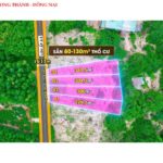 Bán đất Long Thành - Đồng Nai, giá chỉ 1,45 tỷ/ 347m2