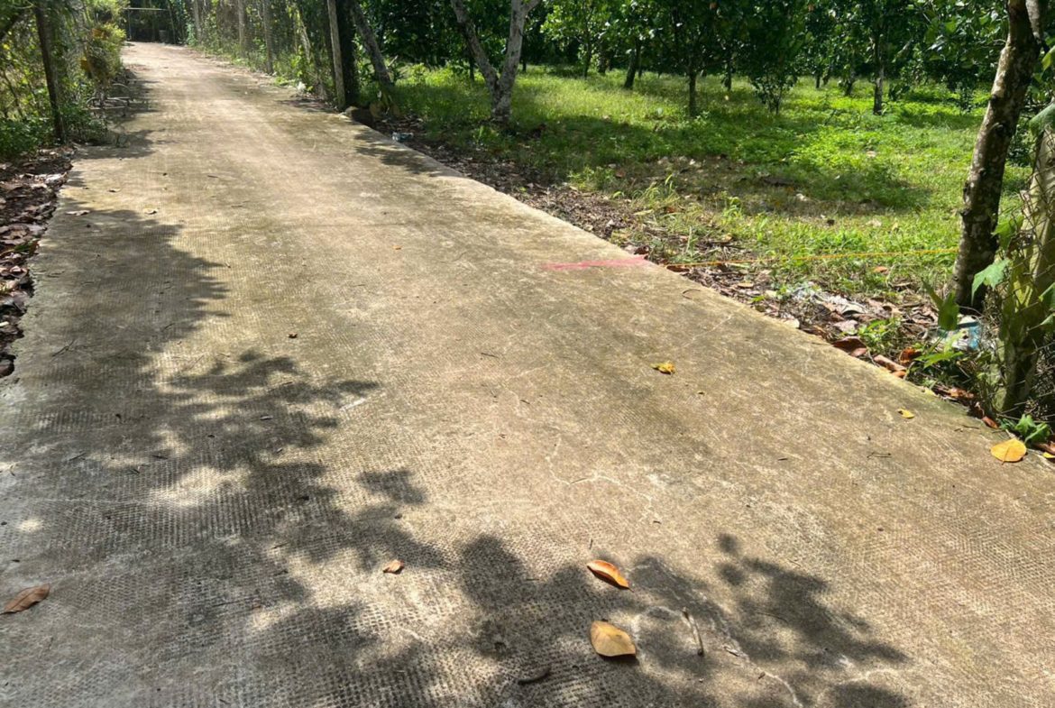 Bán đất vườn trái cây Long Khánh – Đồng Nai, có thổ cư