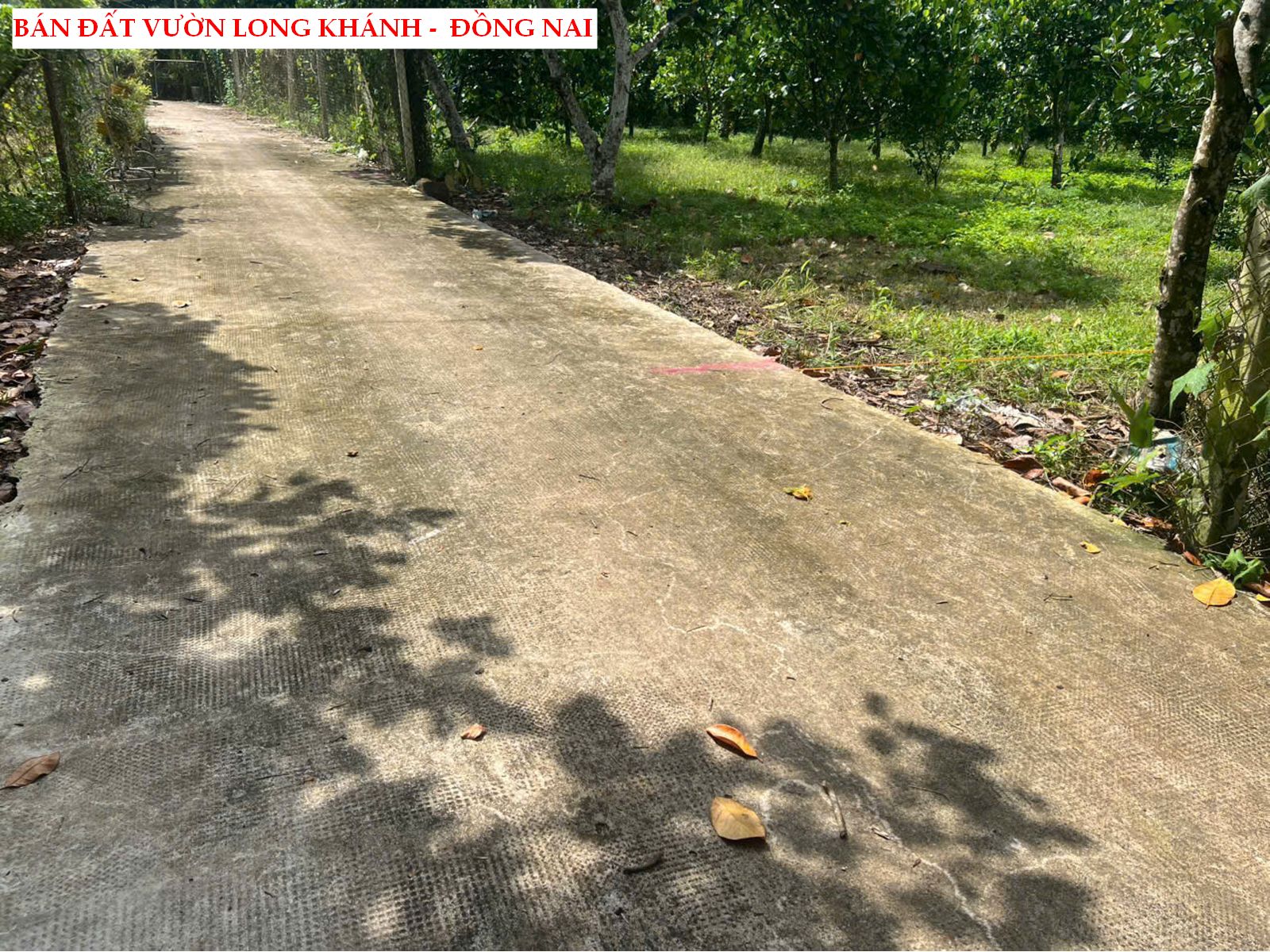 Bán đất vườn trái cây Long Khánh – Đồng Nai, có thổ cư