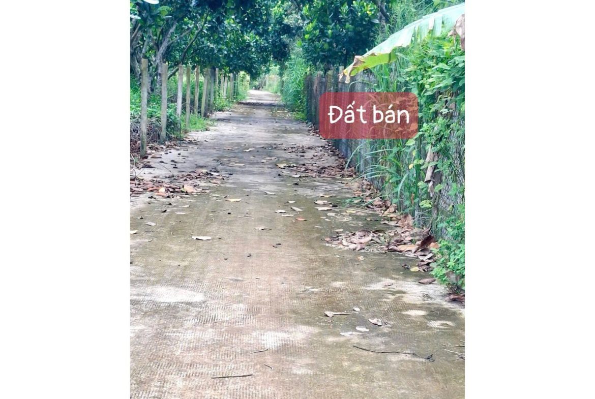 Bán đất vườn trái cây Long Khánh – Đồng Nai, có thổ cư