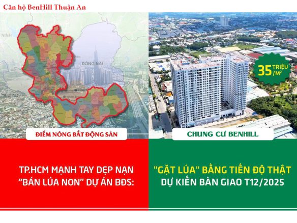 CĂN HỘ BENHILL CAM KẾT GIÚP NHÀ ĐẦU TƯ THU HOẠCH “TIỀN TƯƠI THÓC THẬT”