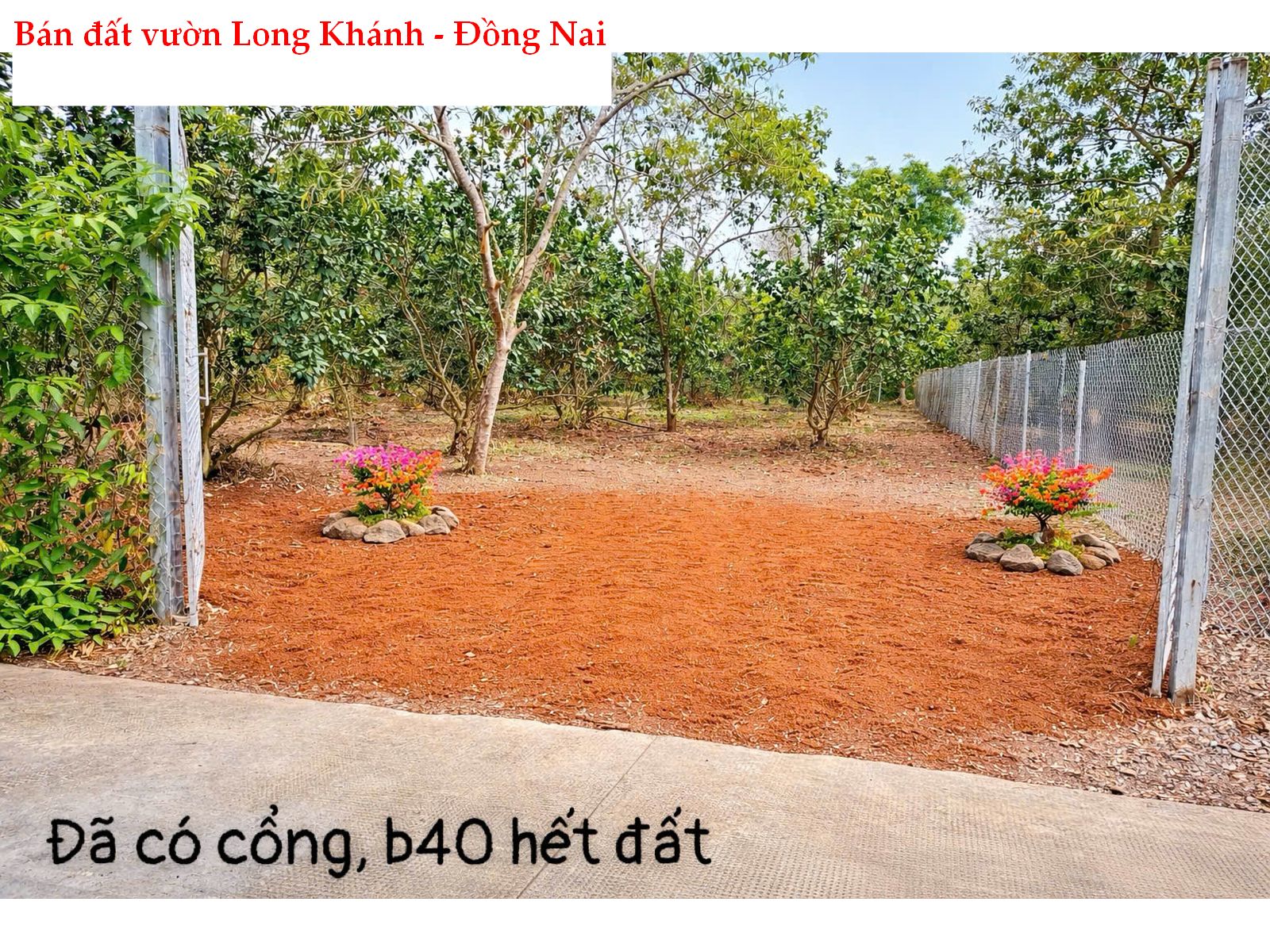 Bán đất vườn 1000m2 Bảo Vinh Long Khánh Đồng Nai – view đẹp, đã rào B40, giá 1.1 tỷ