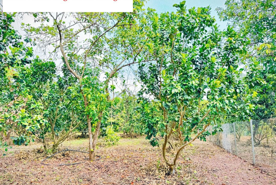 Bán đất vườn 1000m2 Bảo Vinh Long Khánh Đồng Nai – view đẹp, đã rào B40, giá 1.1 tỷ