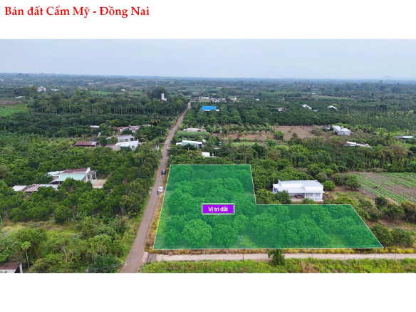 Bán đất thổ cư Xuân Đông Cẩm Mỹ Đồng Nai – vườn chôm chôm sẵn, giá từ 5xx triệu