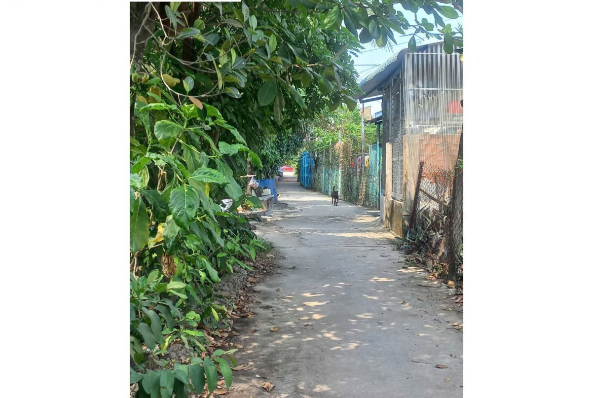 Bán đất khu phố Hòa Long, Thuận An, Bình Dương