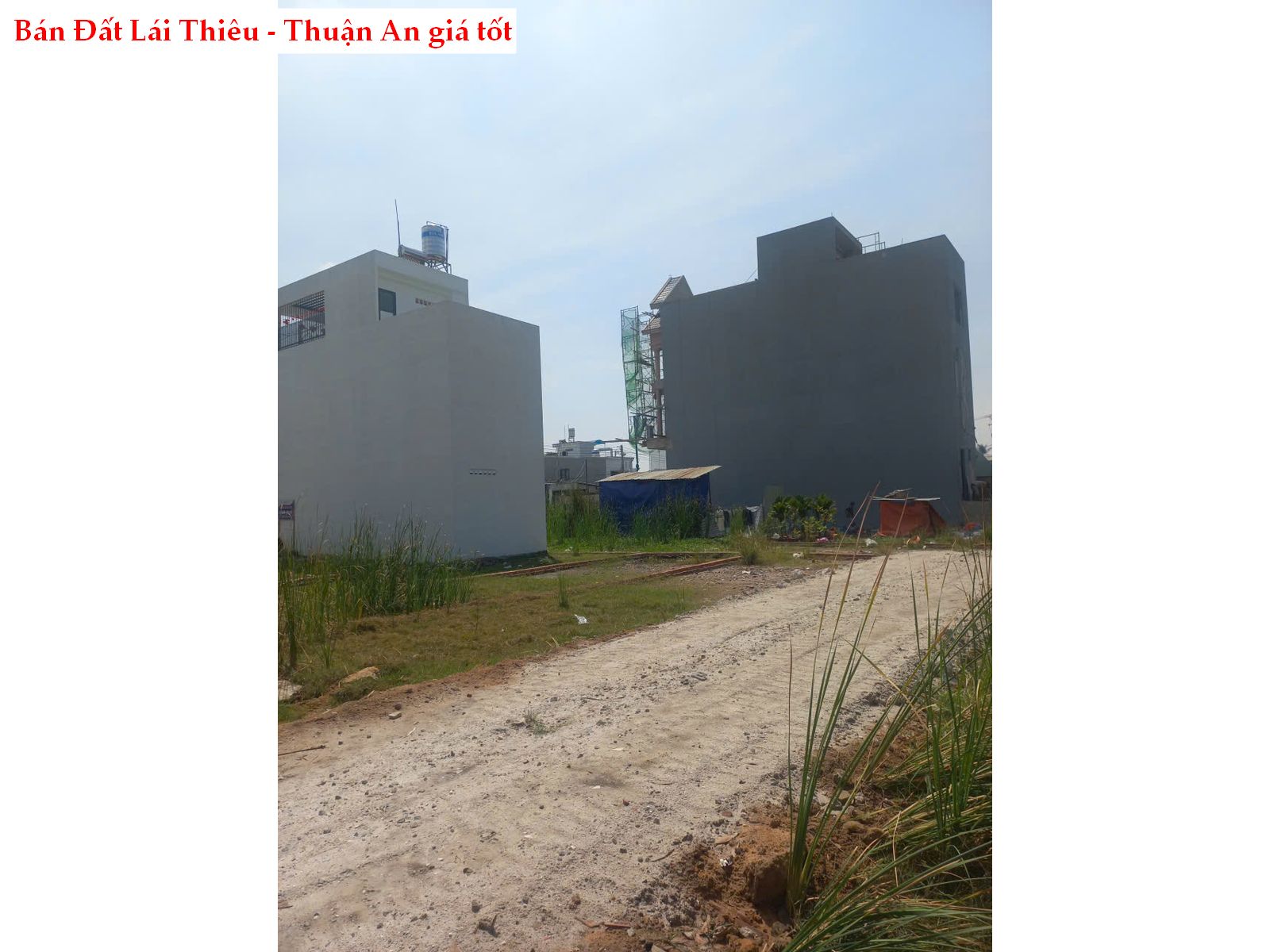 Bán đất khu phố Hòa Long, Thuận An, Bình Dương