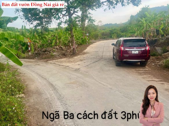Bán Đất Nghỉ Dưỡng TP Đồng Nai – Giá Chỉ 350 Triệu/Sào | 5.000m² View Núi Cực Chill